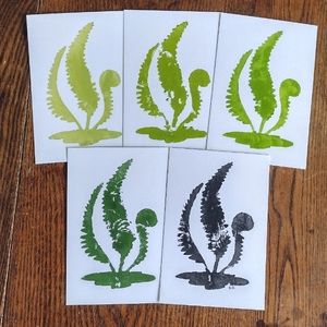 Hand Stamped Fern Postcard set of 5